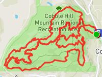 Cobble Hill Long Course